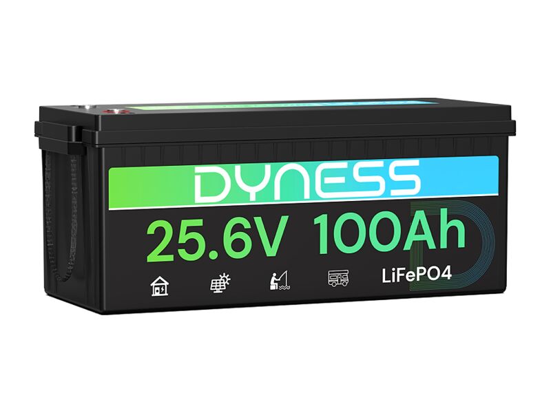 Dyness Lithium-Batterie 24V 100Ah 2560Wh