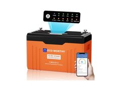 Eco-Worthy 314Ah LiFePO4 Bluetooth Batterie