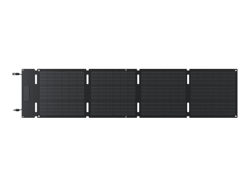 EcoFlow 60W USB-C pannello solare portatile