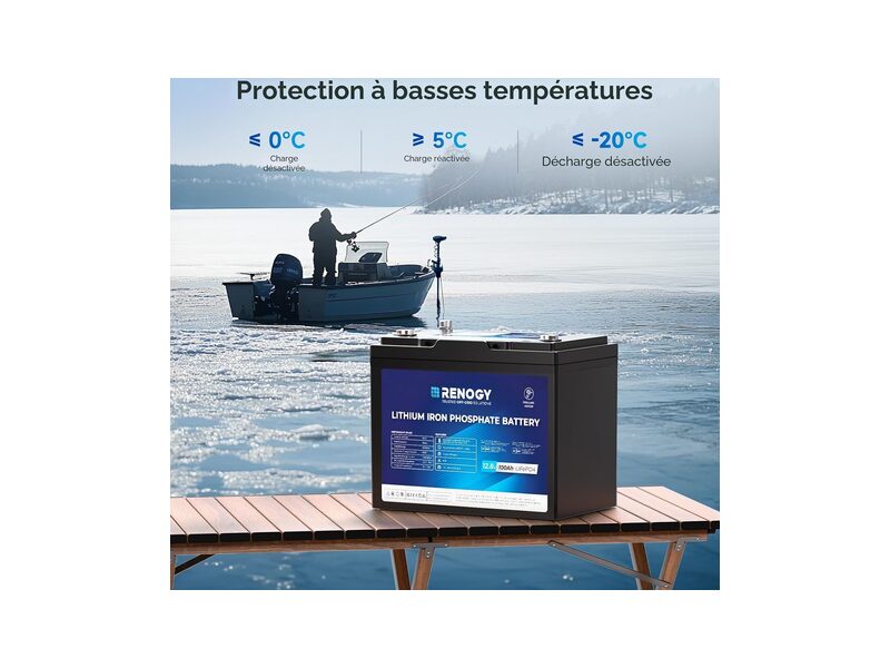 Renogy LiFePO4 100Ah 12V batteria Bluetooth