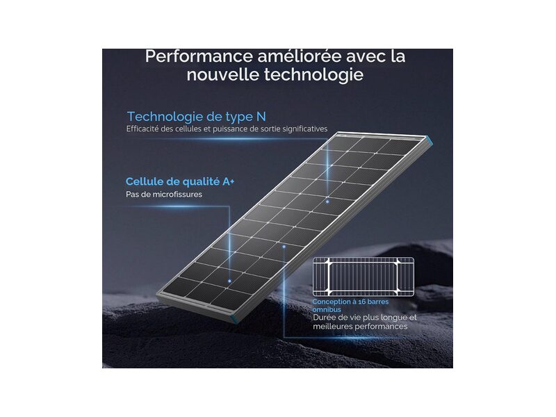 Renogy 100W 12V pannello solare monocristallino